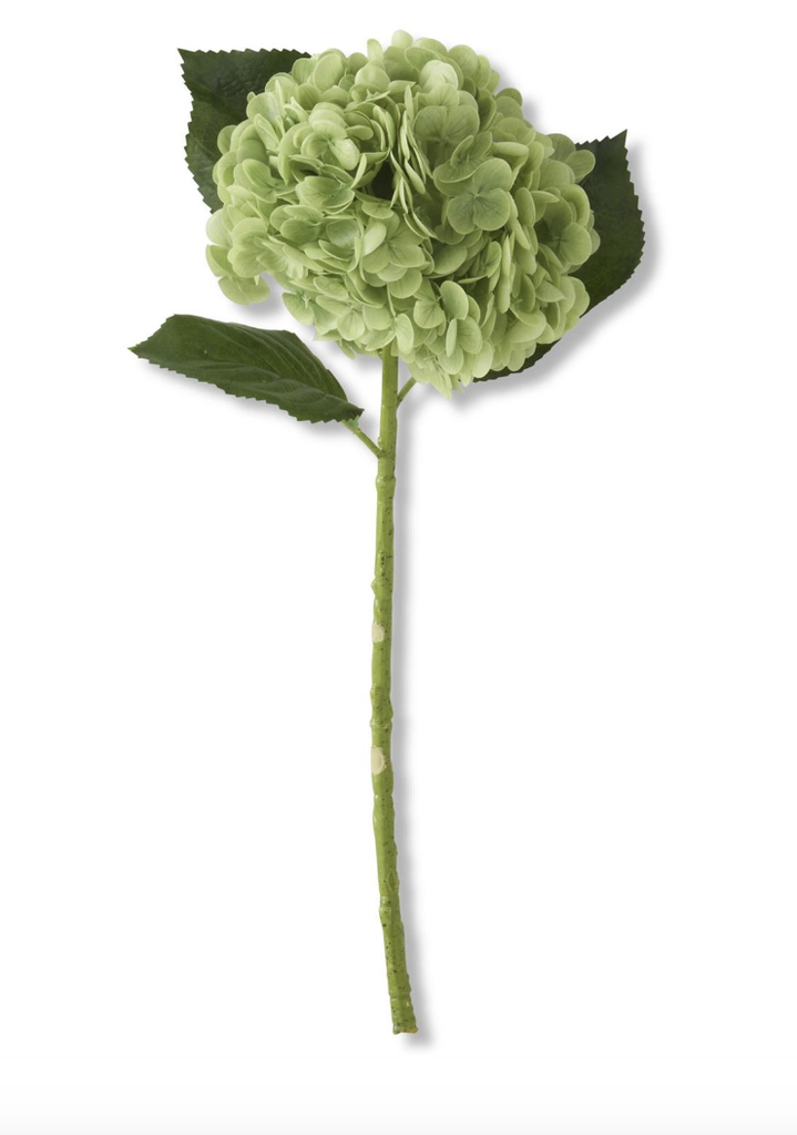 Hortensia Verde 20"