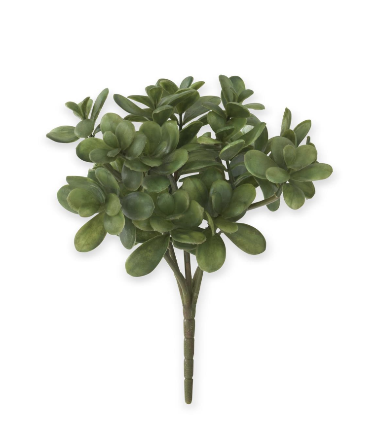 Vara Jade 11.5"