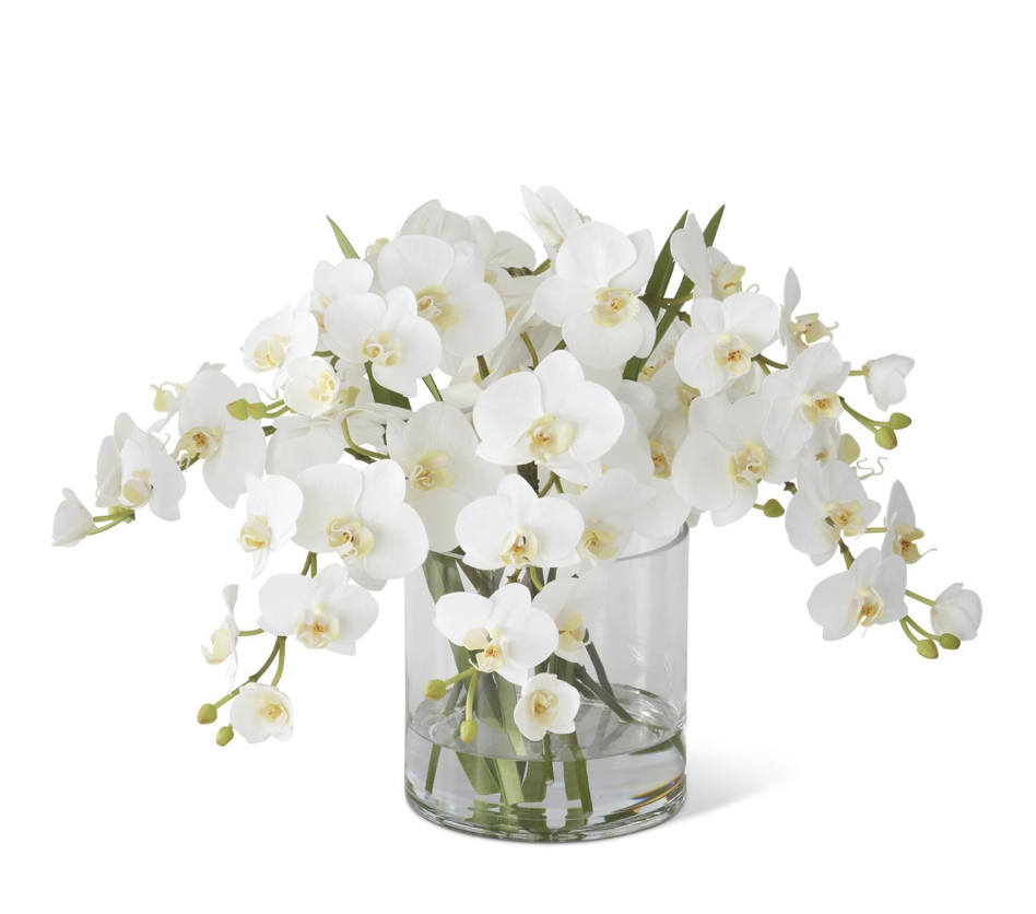Jarron Vidrio Agua Artificial Orquidea Blanco 16"