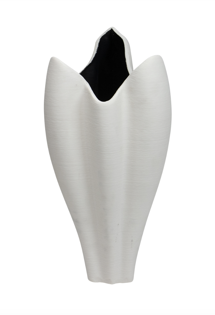 Jarron Addison Chico