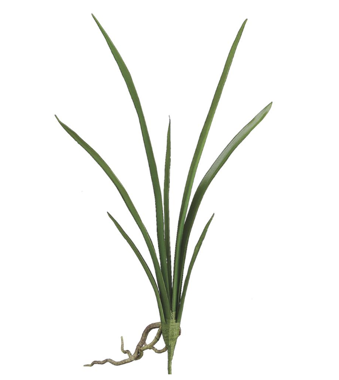 [HSL393-GR] Hoja Cymbidium 20"
