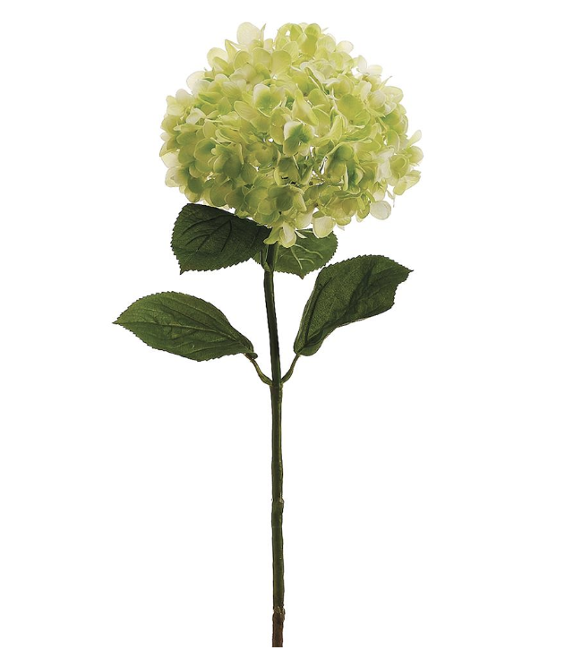 Hortensia Verde 30"