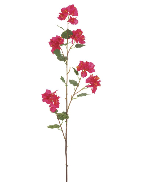 Bugambilia Fiusha 48"