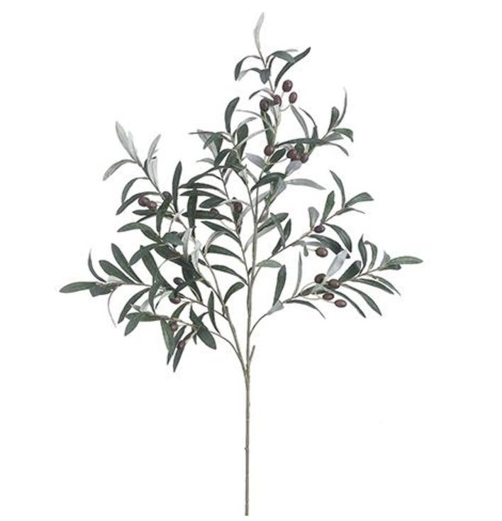 Vara Olivo 39"