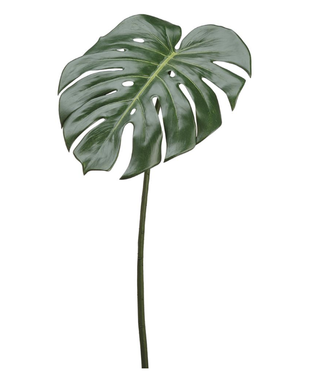 Hoja Monstera 23"