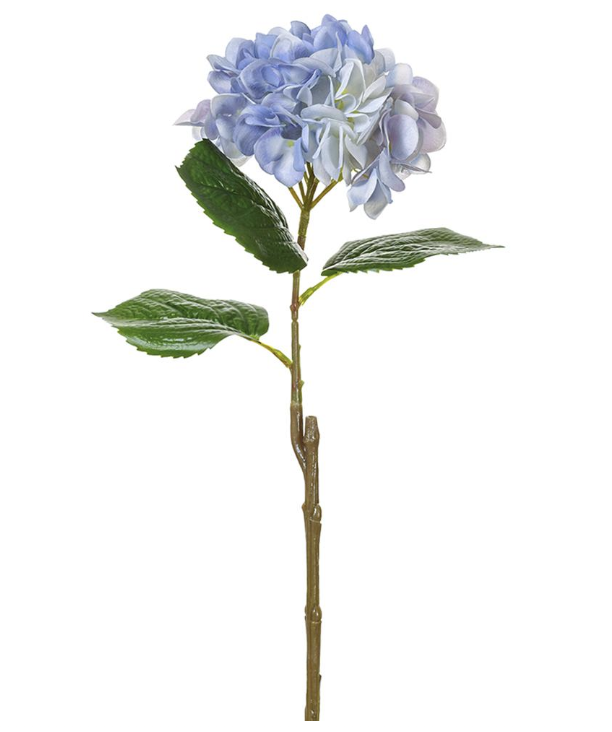 Hortensia Celeste 23.5"