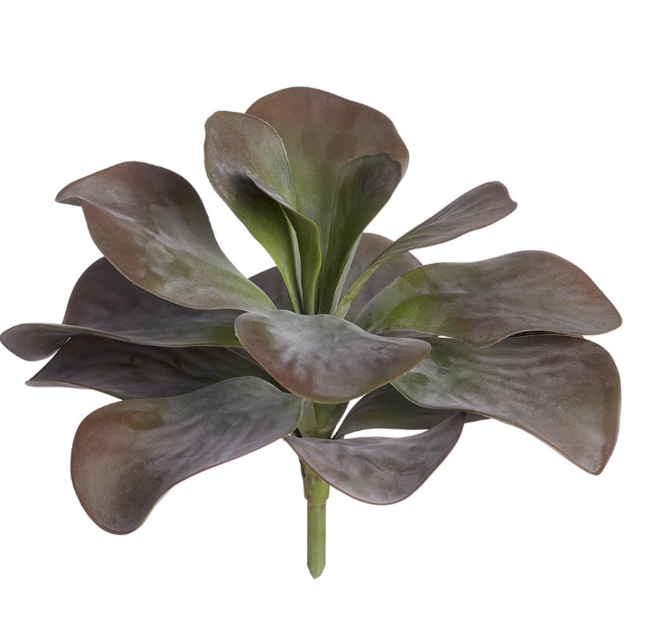 [CPK842-PU/GR] Kalanchoe Morado 11"