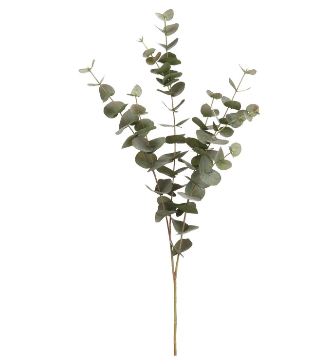 Vara Eucalipto 40"