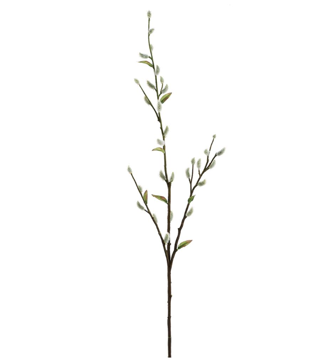 Vara Uña De Gato 36"