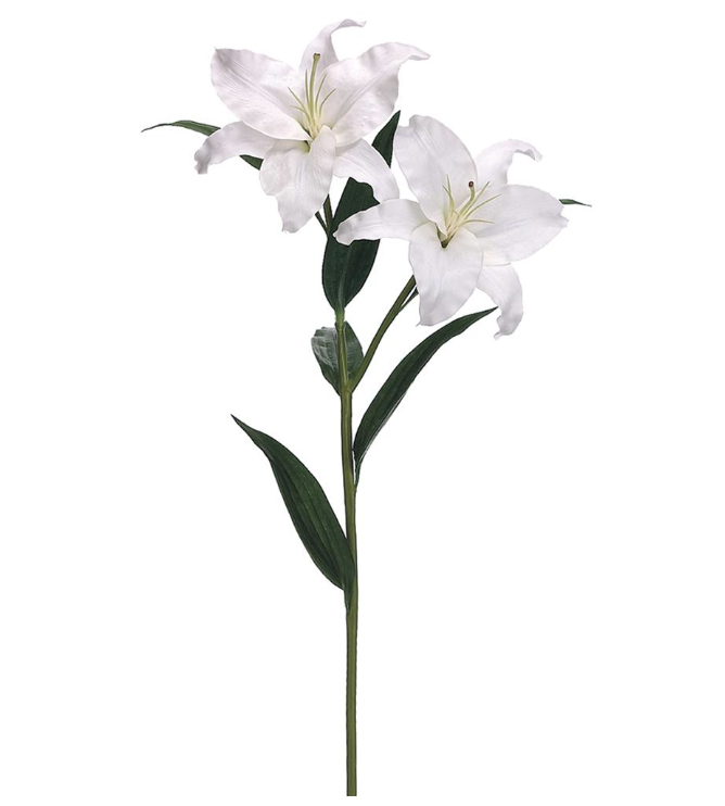 [HSL154-WH] Casa Blanca Blanco 36"