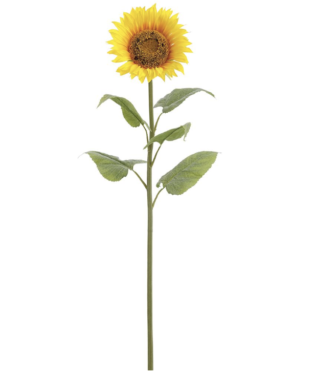 [FSS704-YE] Girasol Amarillo 43"