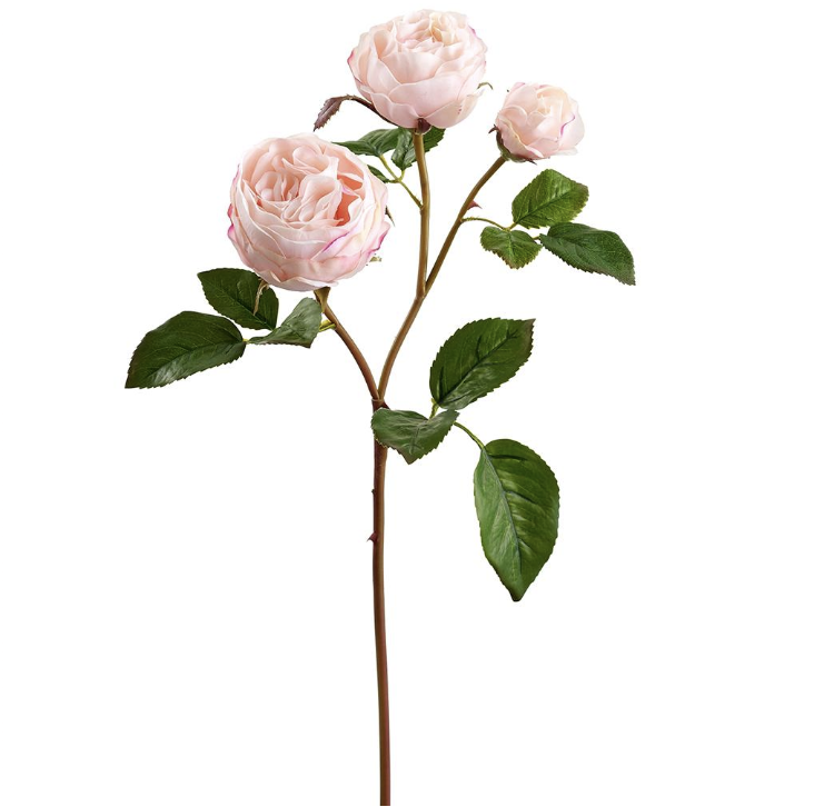Rosa Rosa Claro 21"