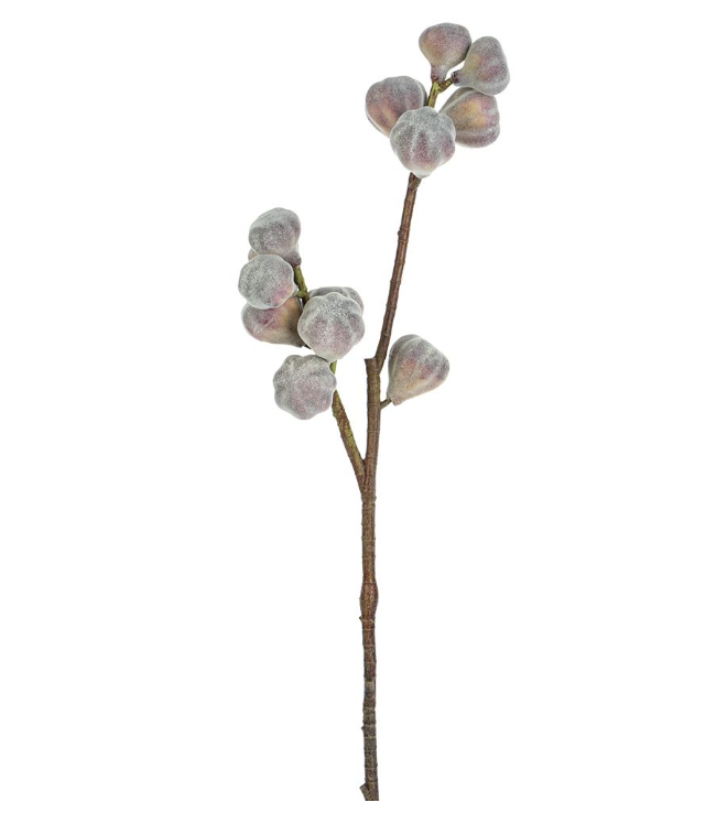 Vara Higo Morado 27"