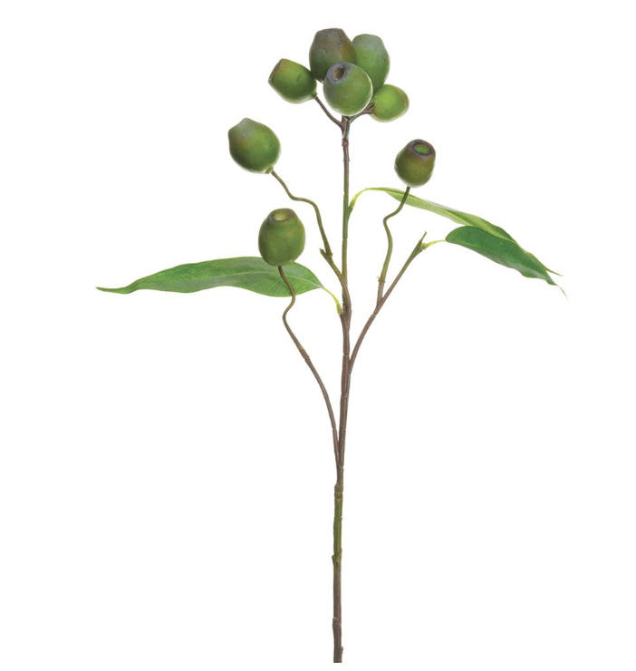 Vara Eucalipto Verde 25.5"