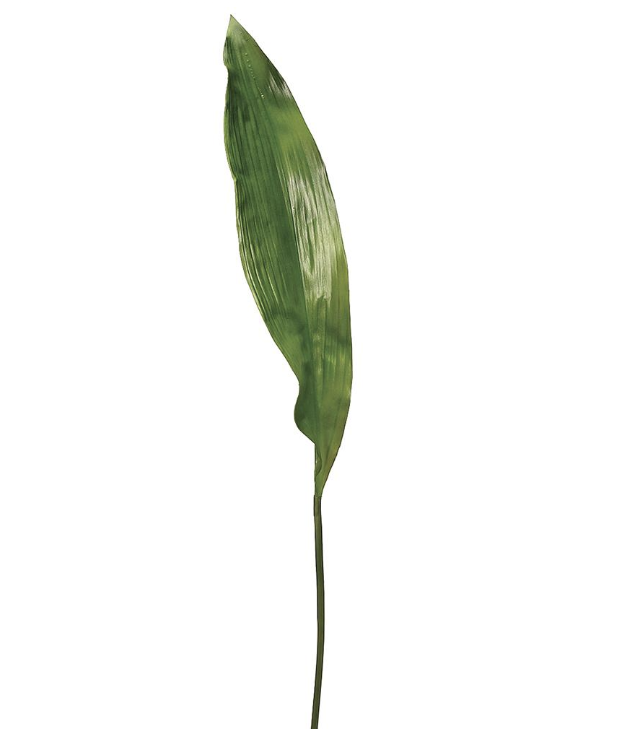 Hoja Apista 36"