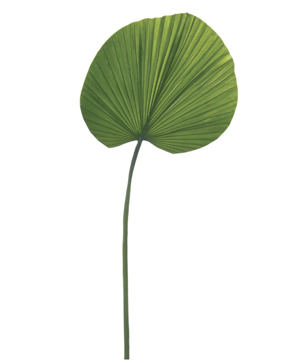 Hoja Palma Abanico 31"