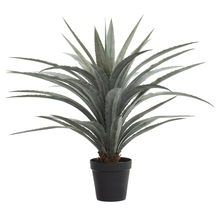 [LPA133-GR/GY] Agave 48"