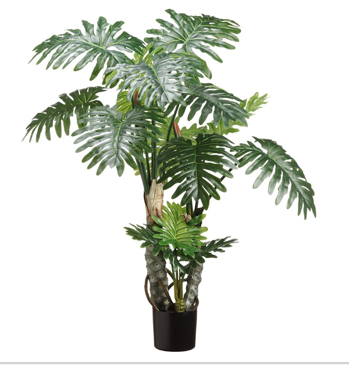 [LPS163-GR] Planta Filodendro 63"