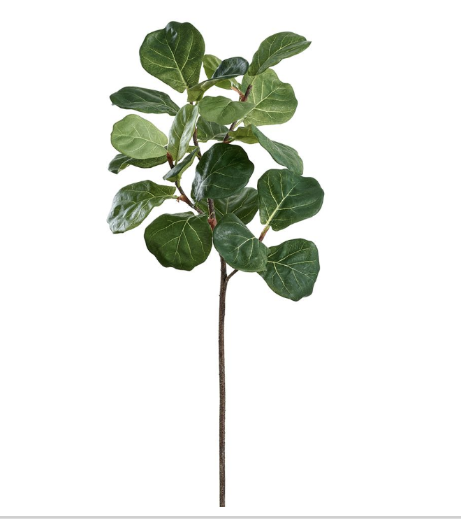 Vara Pandurata 32"