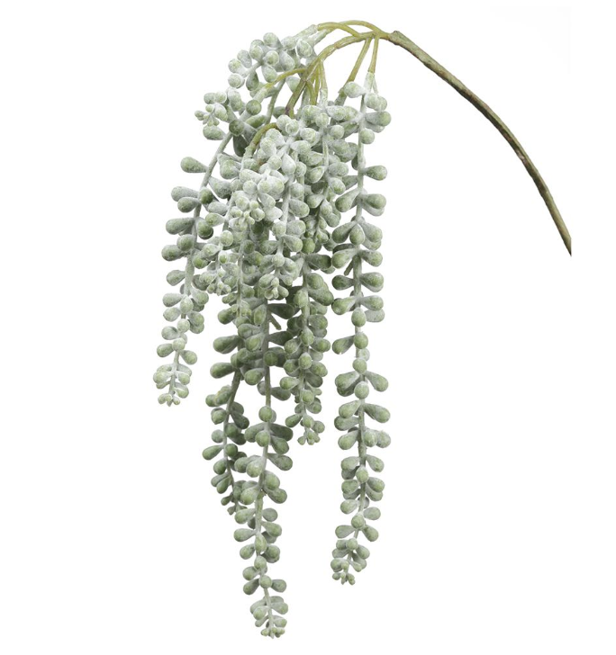 Cola De Burro 19"Verde Gris