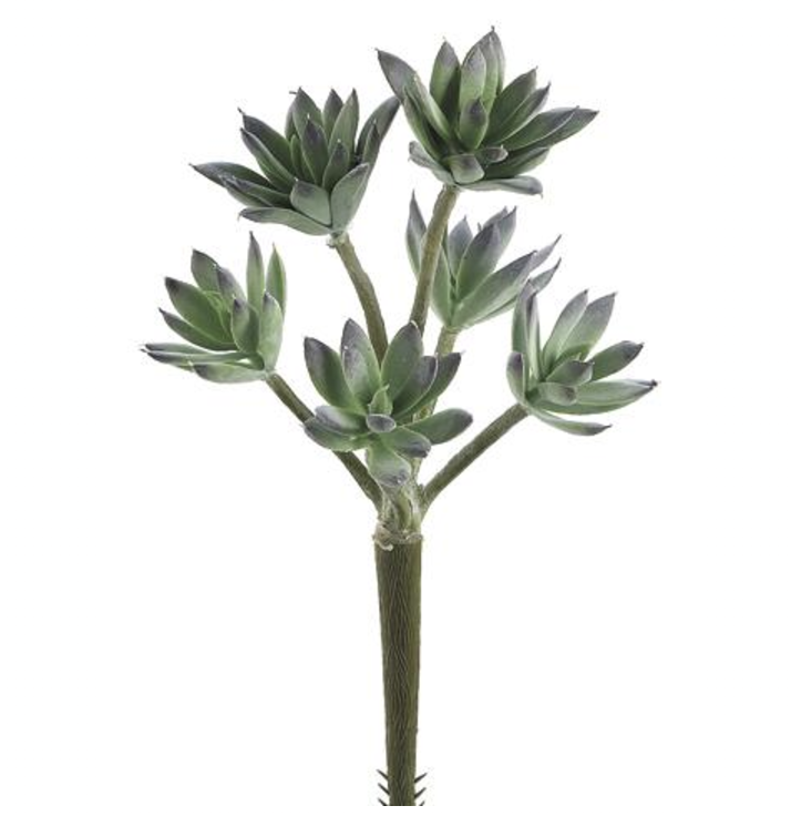[CC2490-GR/FS] Vara Sedum 11"