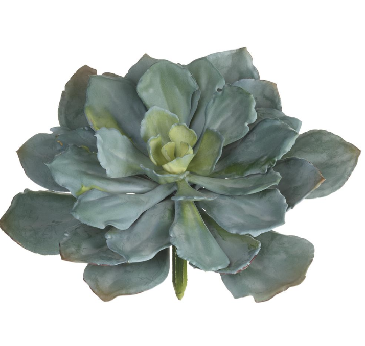 [CM3790-GY/GR] Echeveria Verde Gris 8"