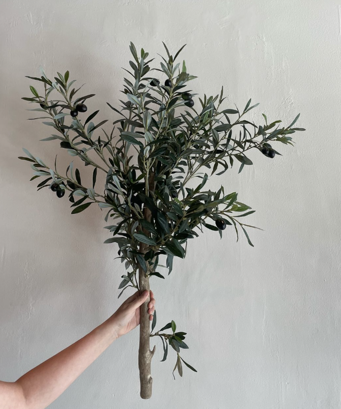 Vara Tronco Olivo 36"