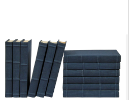 [VH-FLNAVY-12] Libro Lino Azul