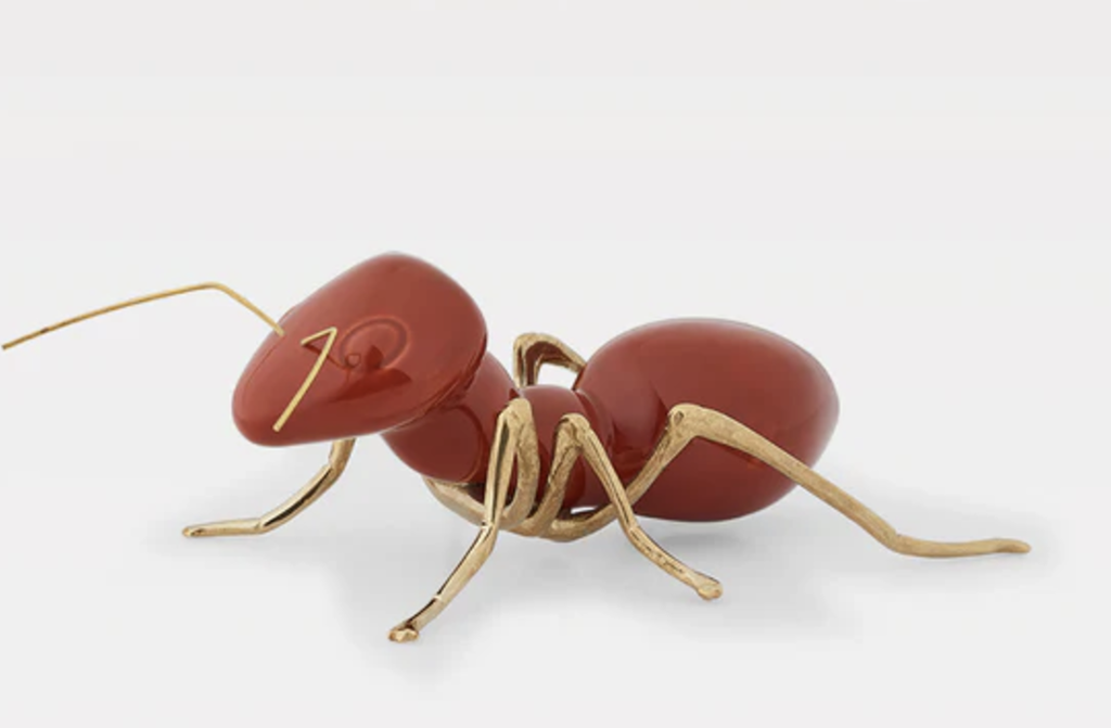 Hormiga Rojo