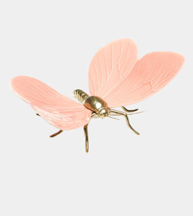Mariposa Rosa