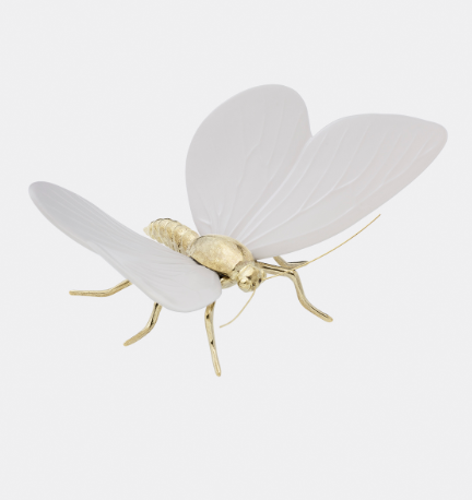 Mariposa Blanco Mate