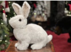 Conejo Blanco 