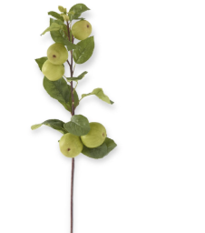 Vara Manzana Verde 34"