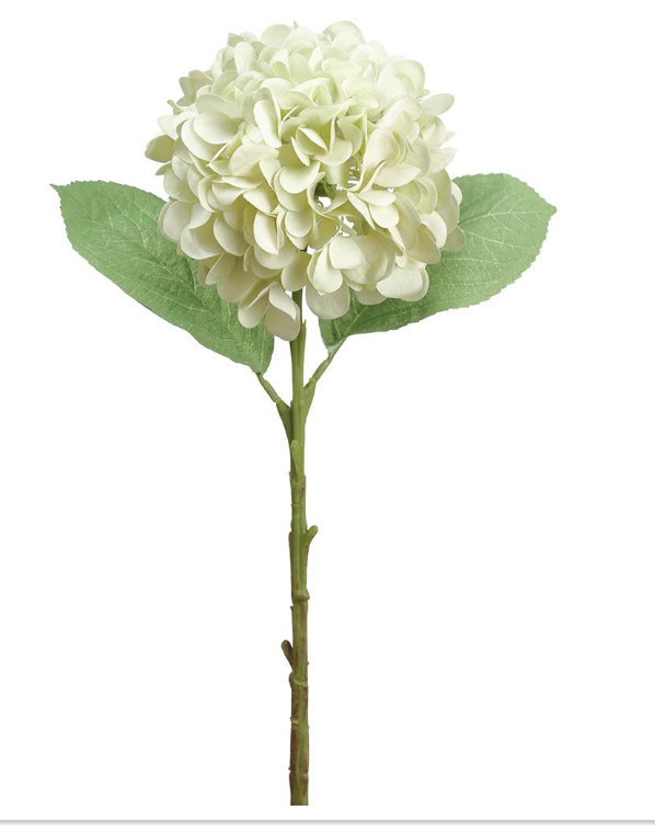 Hortensia Verde Claro 18.5"