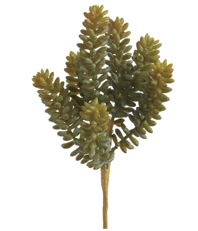 [CKS090-GR/TT] Vara Sedum Pick 8"