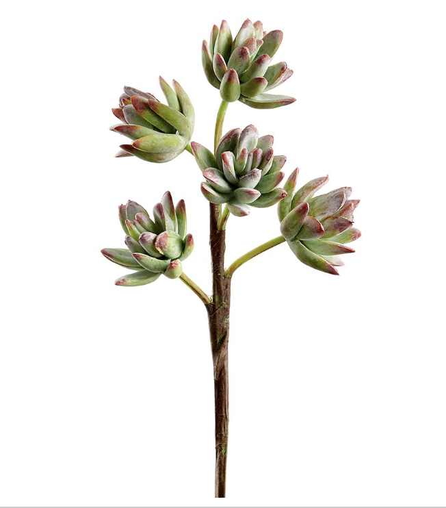 [CS0113-GR/PK] Vara Sedum Verde 10"