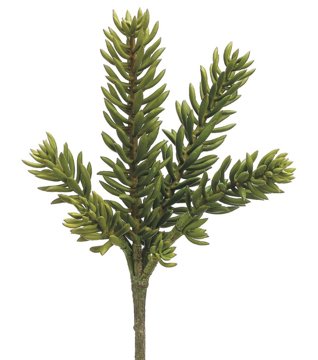 [CS6985-GR] Vara Senecio Verde 20"