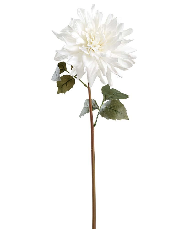 Dalia Blanco 23"