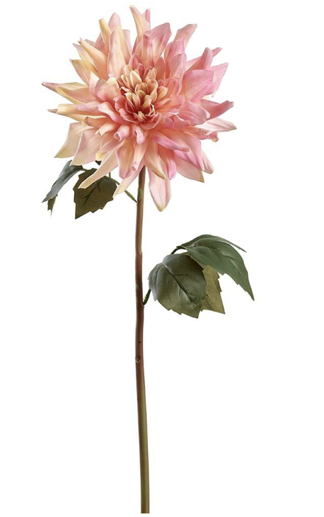Dalia Coral 23"