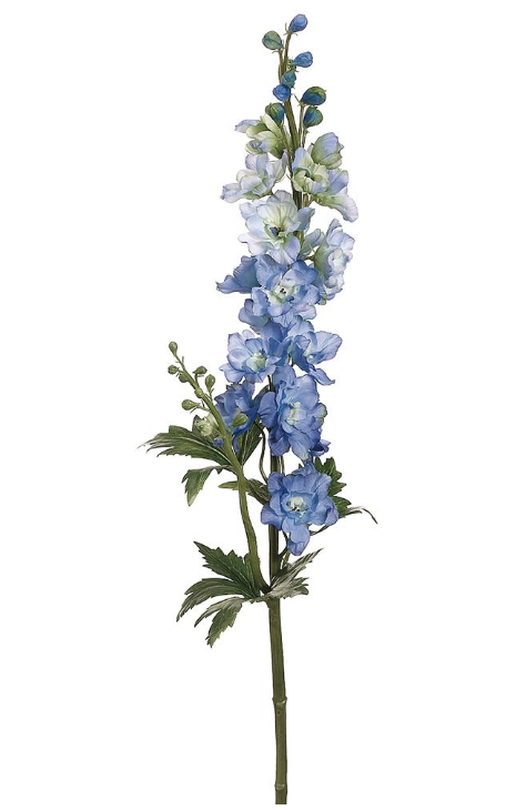 Delphinium Azul 35"
