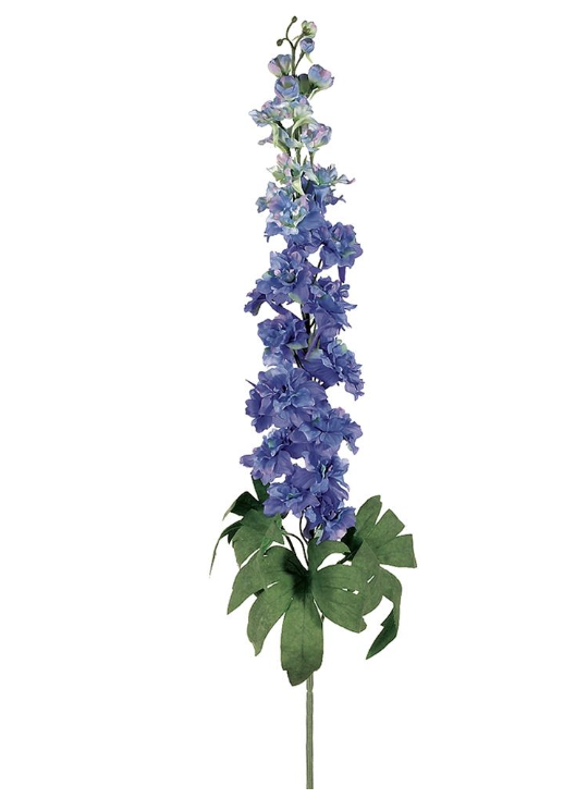  Delphinium Azul 40"