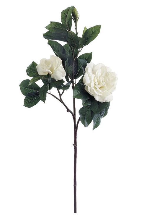 [GTG317-WH] Gardenia Blanco 31"