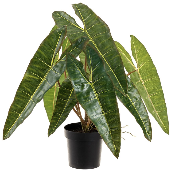 [LPP118-GR] Planta Filodendro 33"