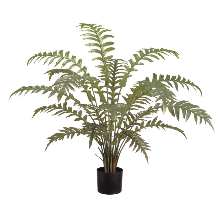 [LQF036-GR] Planta Helecho 36"