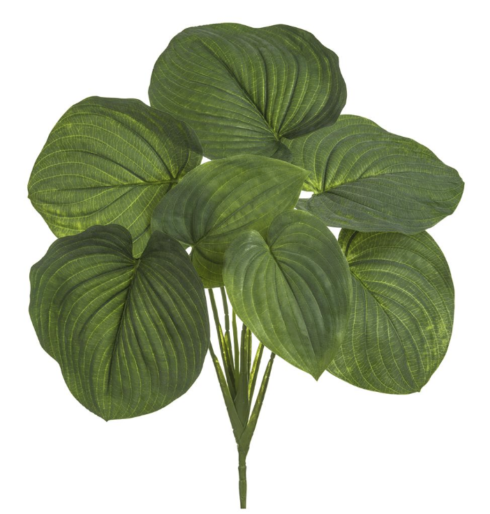 [PBH626-GR] Planta Hosta 26"