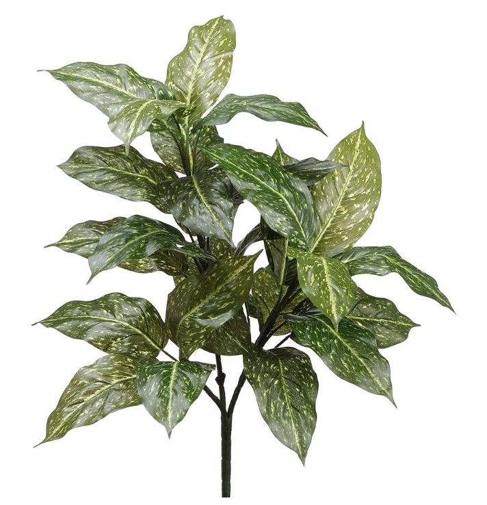 [PPH303-GR/CR] Planta Acuba 28"