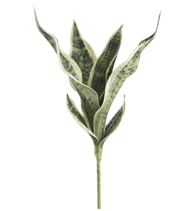 [PPS383-GR/GY] Planta Sansevieria Verde Gris 21"