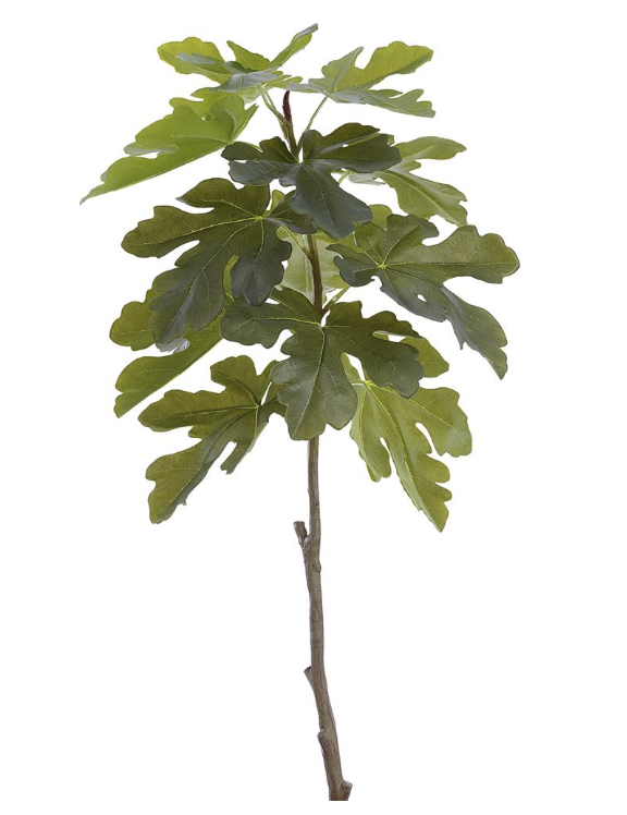 Vara Hoja Higo 41"