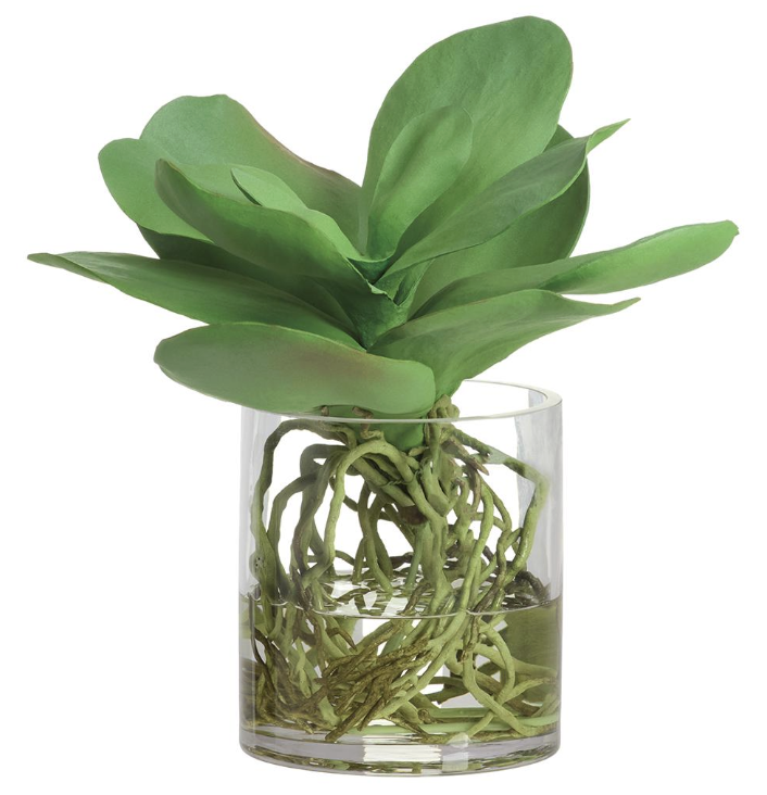 Jarron Vidrio Agua Artificial Kalanchoe 11"