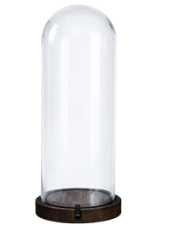 Capelo 6.5" x 16"